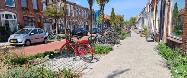 noorderkwartier_600_250