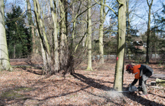 onderhoud boom