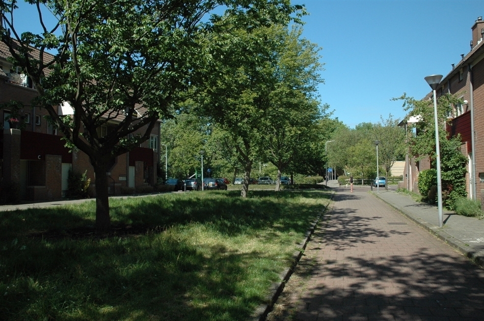 Bomen stevenshof