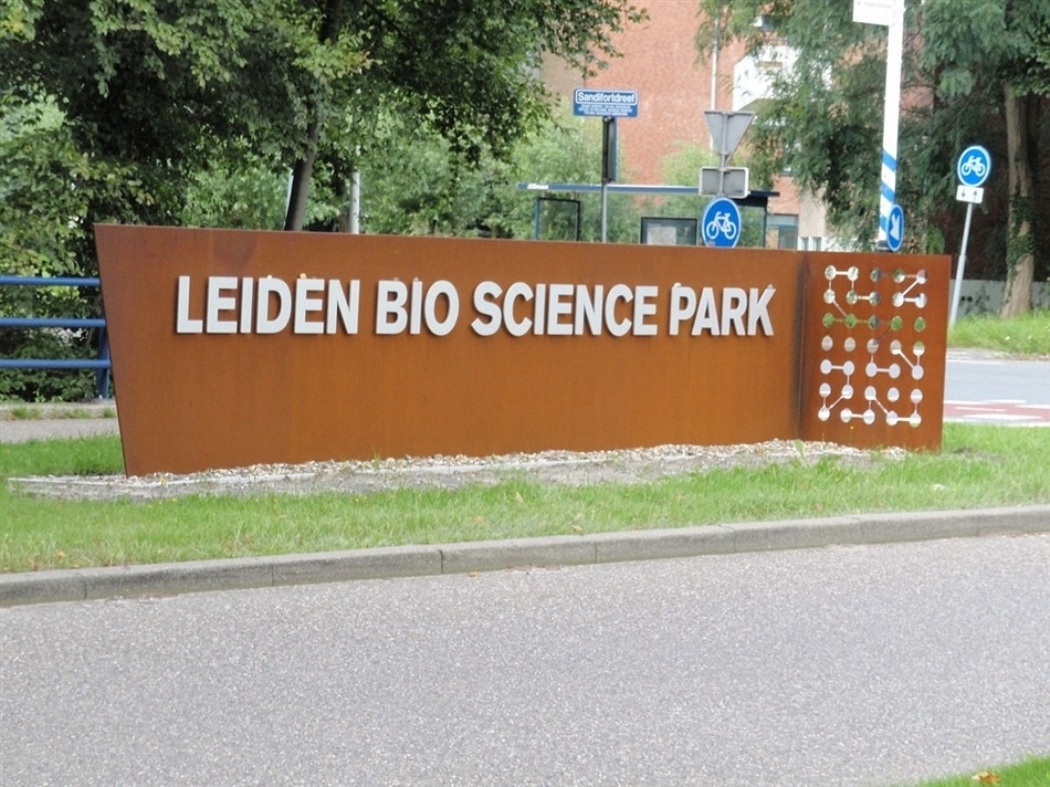 LBSP