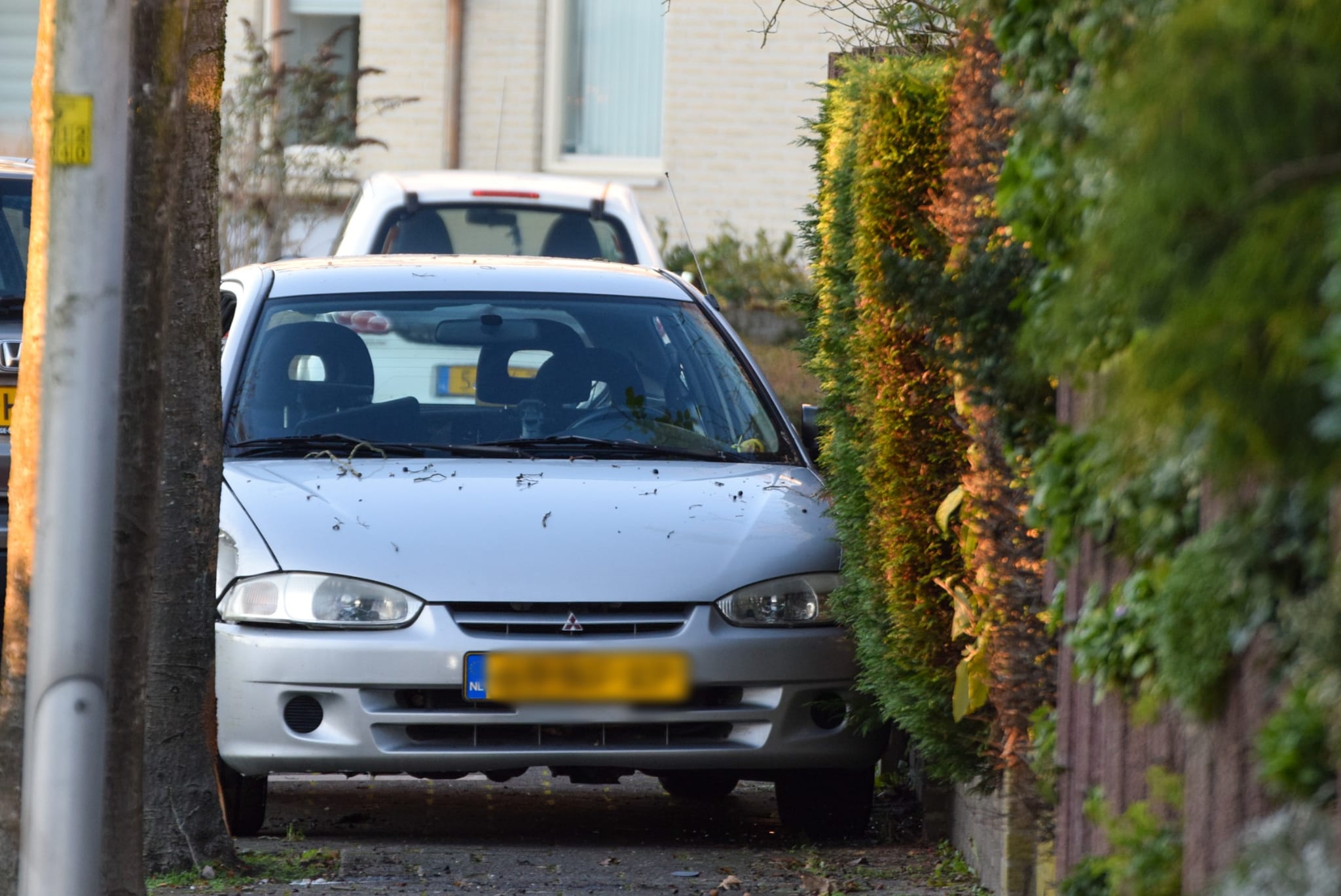 Auto rijdt bosjes in Leiderdorp