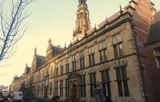 Gouden speld mooi