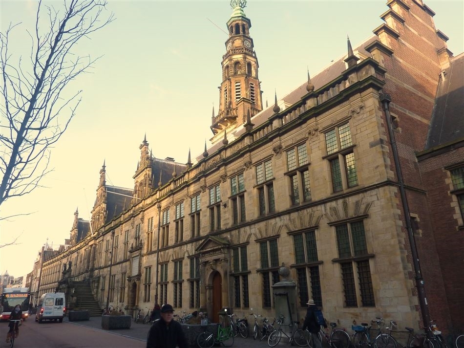 Gouden speld mooi