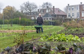 Het Zoete Land 4