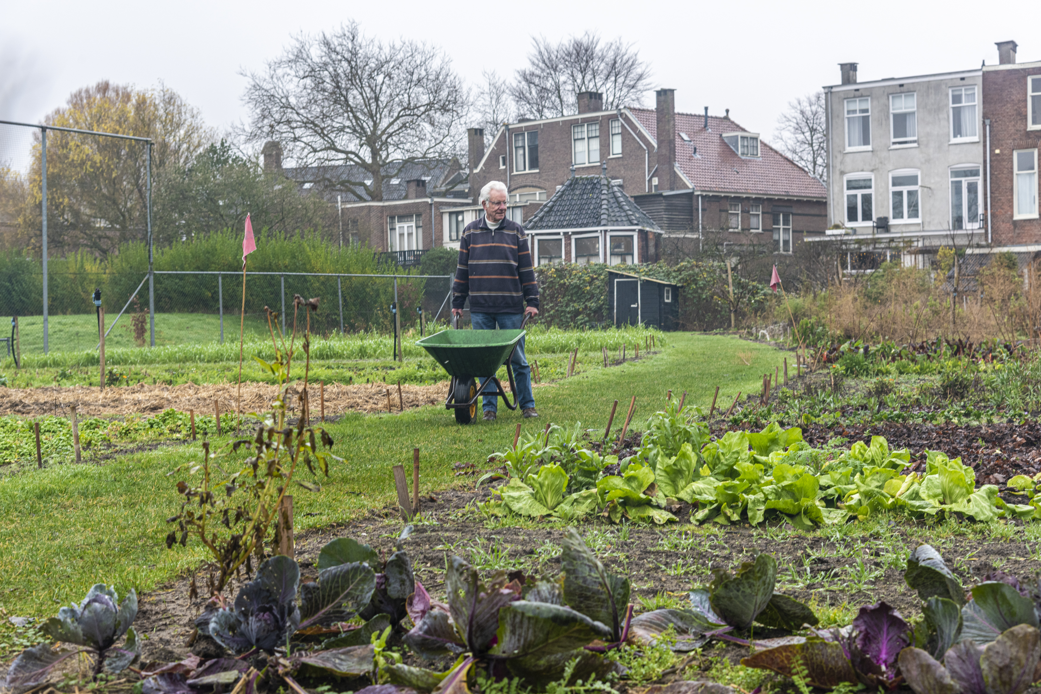 Het Zoete Land 4