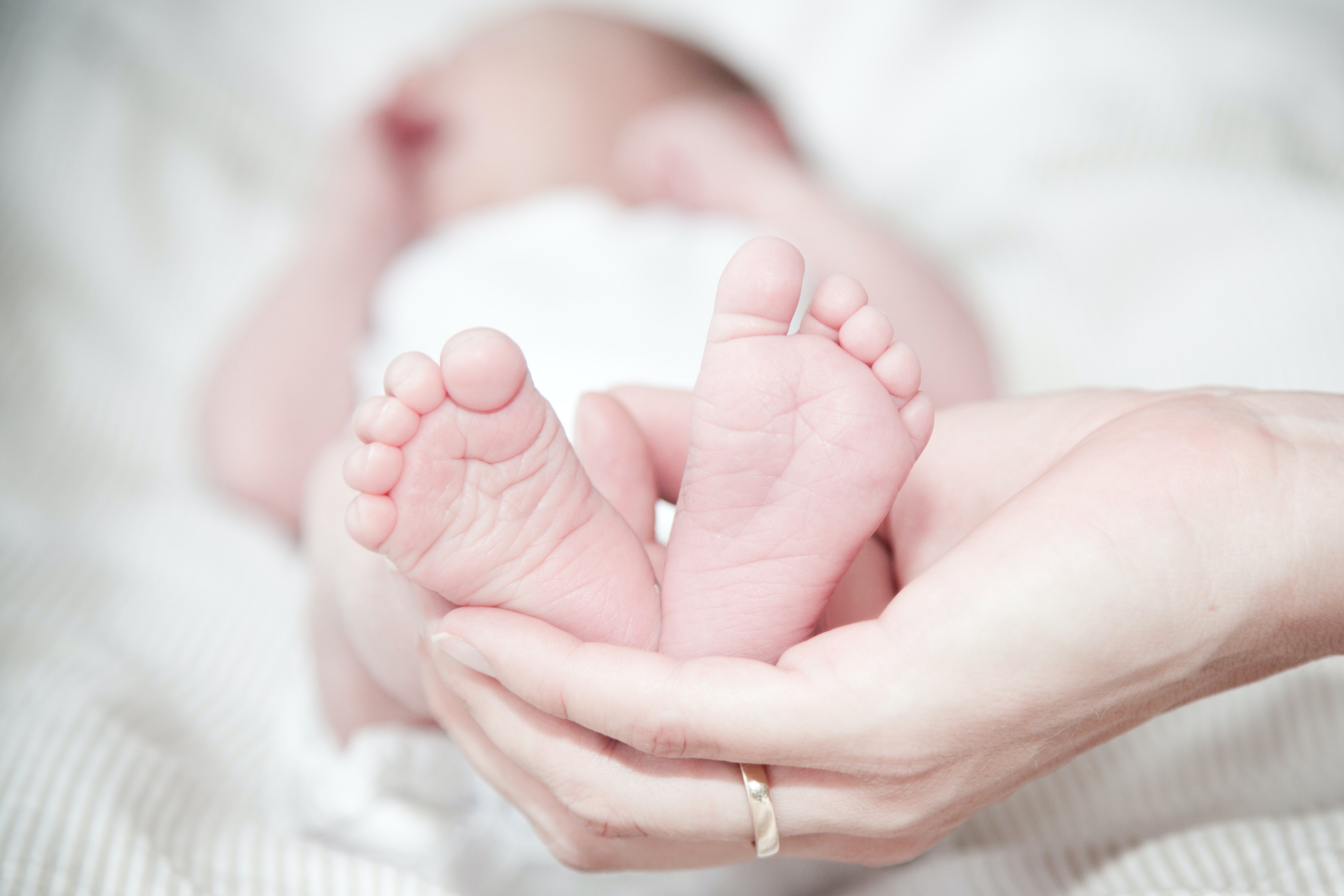 baby ganoesh