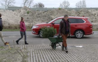 kerstbomen
