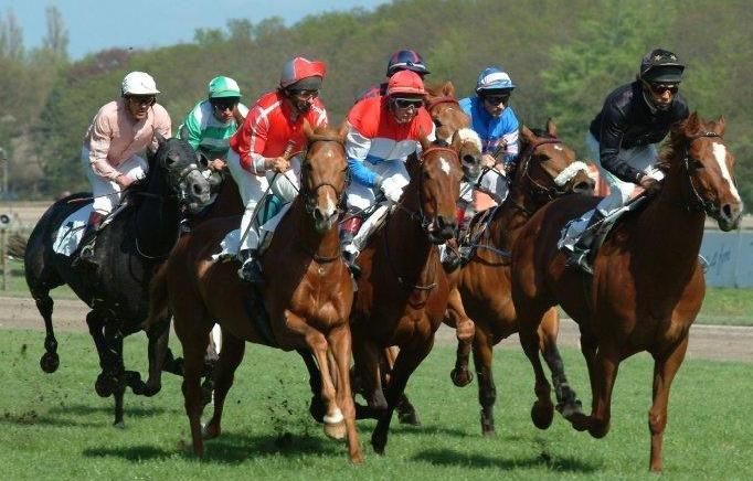 paardenrenbaan