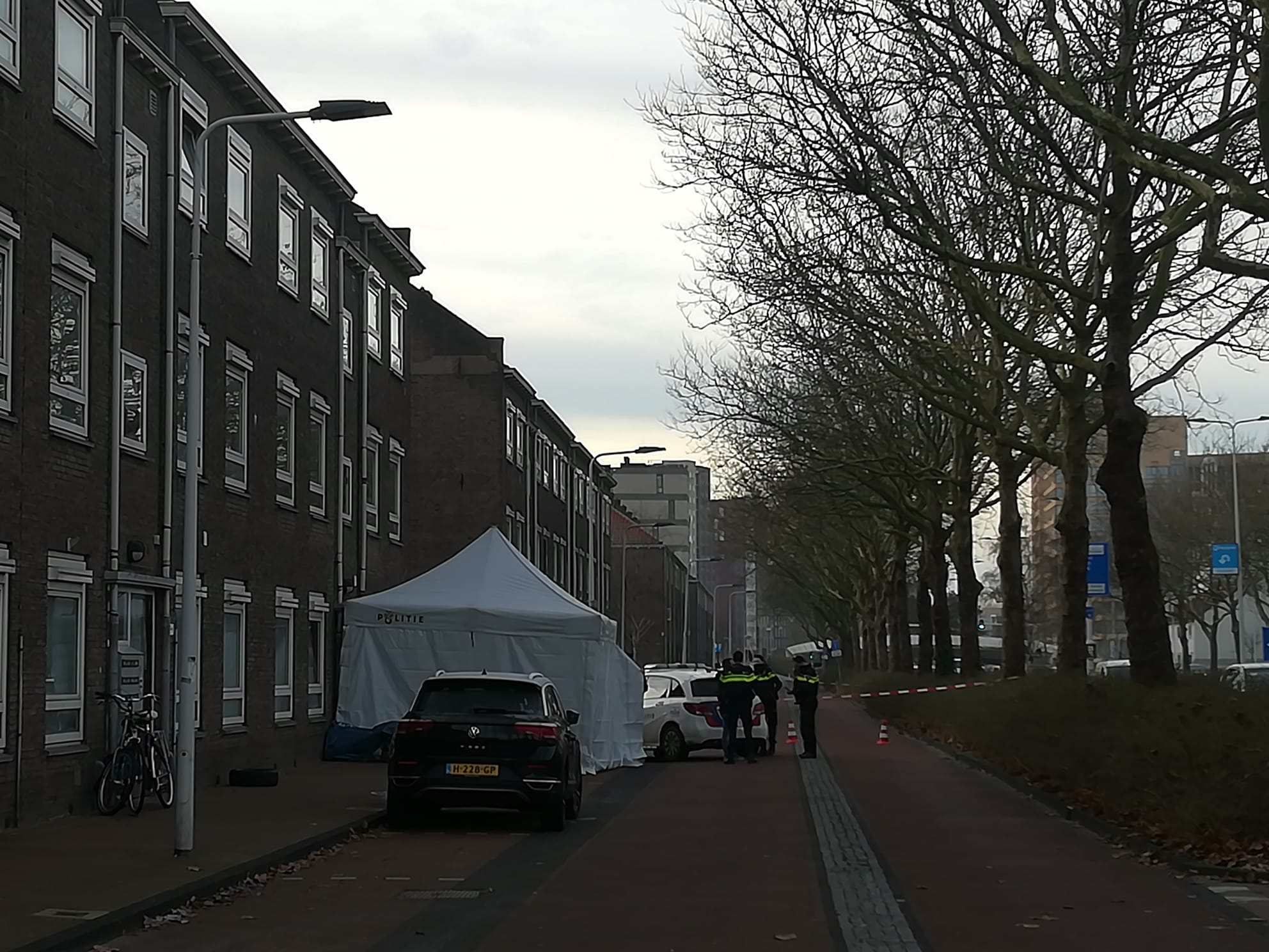 willem de zwijgerlaan