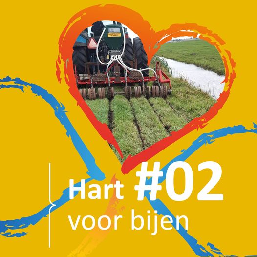 Hart voor bijen