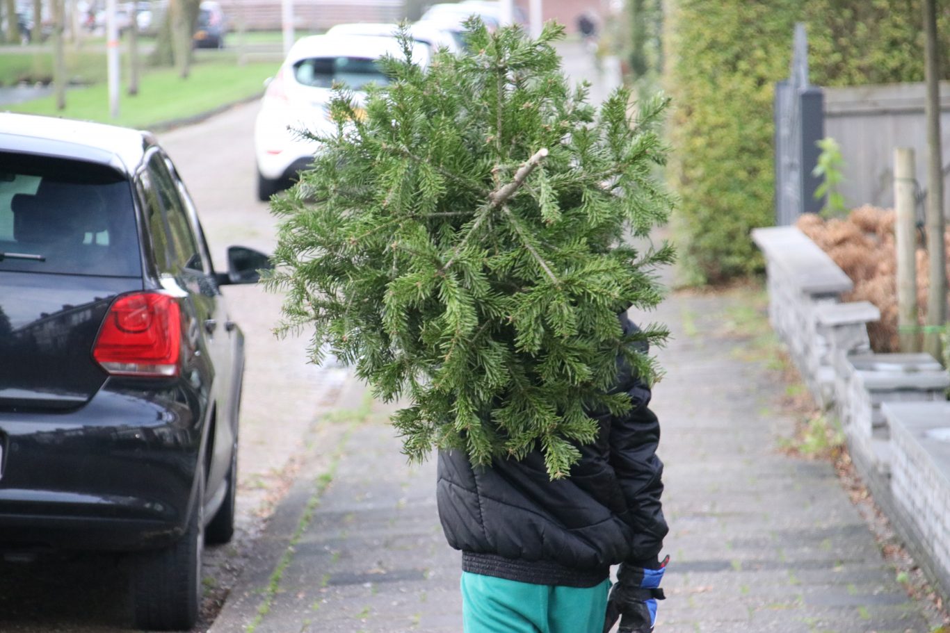 Kerstboom inleveren Zoeterwoude