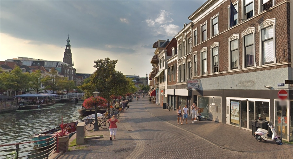Nieuwrijn