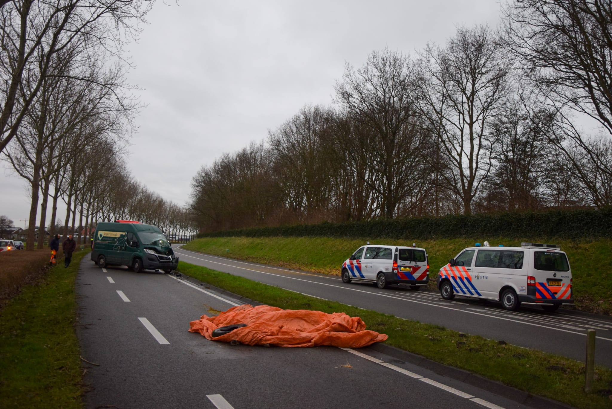 Ongeval paarden N206