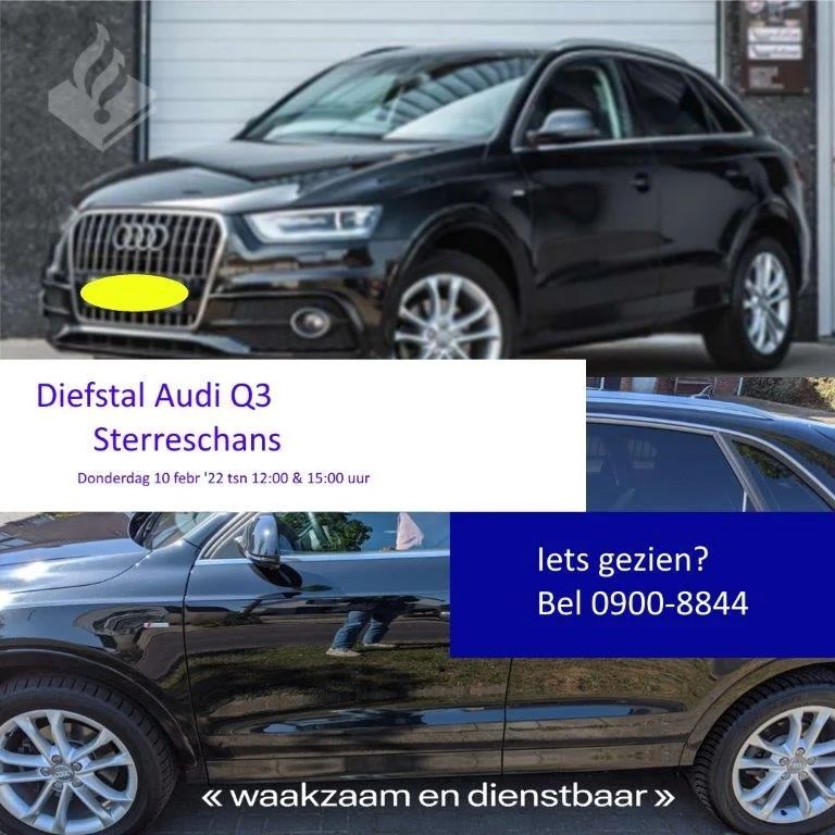 Audi Diefstal
