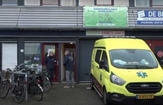 Dierenambulance Vogelasiel
