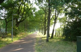 Oude Trambaan