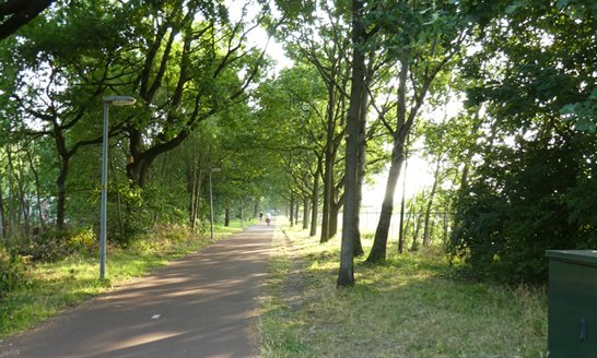 Oude Trambaan