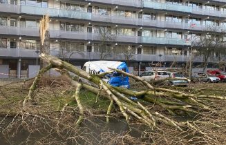 Overzichtsfoto storm