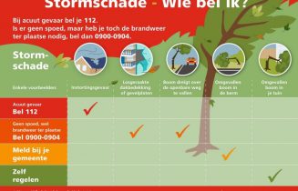Stormschade