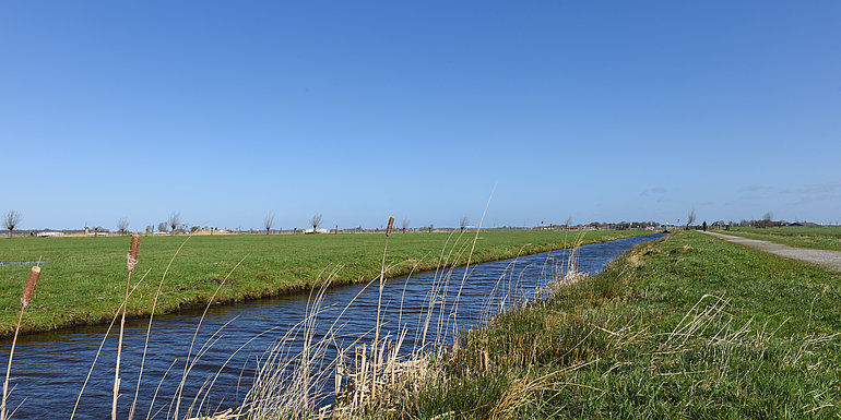 Boterhuispolder