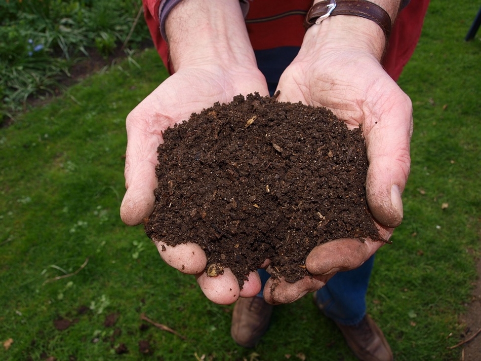 Compost Leiden.2