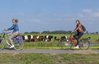 Fietse