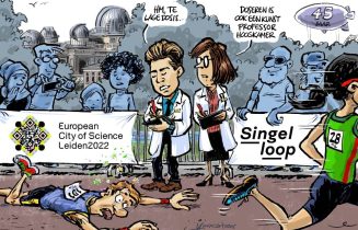 Singelloop