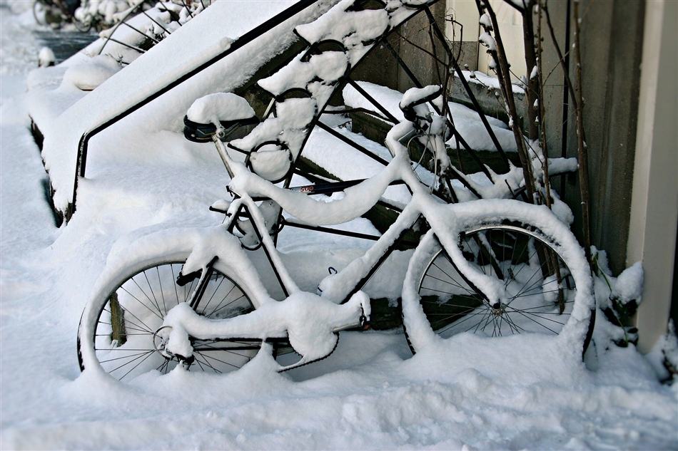Sneeuw